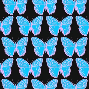 medium spotted butterflies sky blue and pastel pink on black