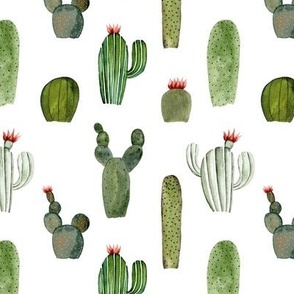 Watercolor Cactus White
