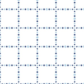 L | Dotted Window Pane Plaid Check Light and Dark Blue Grid of Spotted Lines on White