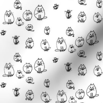 cats_PAPER_2