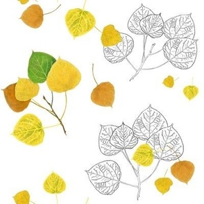 Aspen Leaves Turning - Full Color and Line Art - Changing