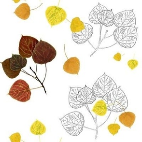 Aspen Leaves Turning - Full Color and Line Art - Changed