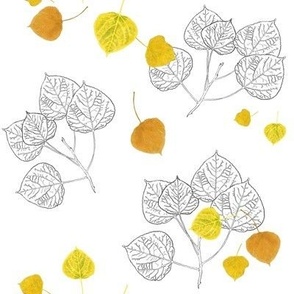 Aspen Leaves Turning - Full Color and Line Art - Falling Leaves
