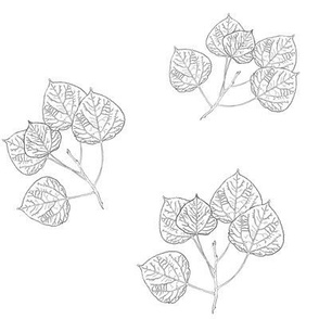 Aspen Leaves - Line Art on White