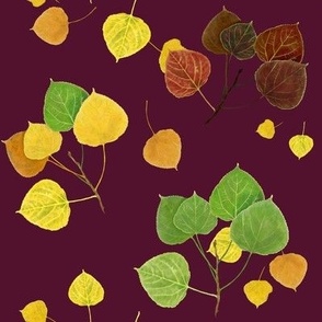 Aspen Leaves Turning - Full Color on Burgundy