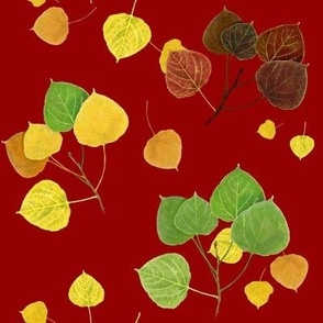 Aspen Leaves Turning - Full Color on Deep Red