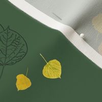 Aspen Leaves Turning - Full Color and Line Art on Dark Green