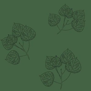 Aspen Leaves Turning - Line Art on Dark Green