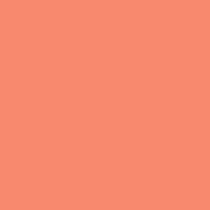 Coral Orange Solid Colour 336639