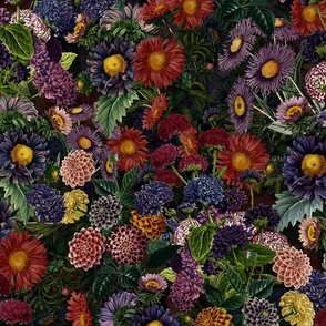 Nostalgic Dark Midnight Flower Garden - Dahlias - Asters Carnation All Kind of Autumn Flowers  late night