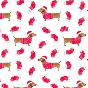 Dachshund wearing jumper and santa hat with red christmas stockings