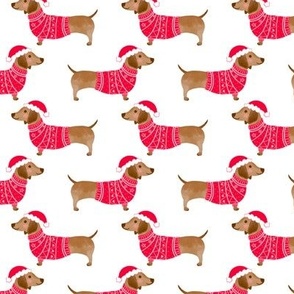 Dachshund wearing red jumper and santa hat, cute sausage dogs  on white background