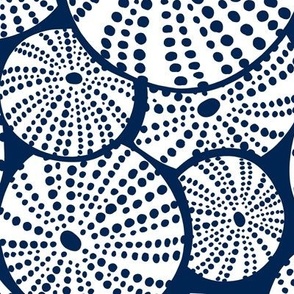 Bed Of Urchins - Nautical Sea Urchins - Navy Blue White Large
