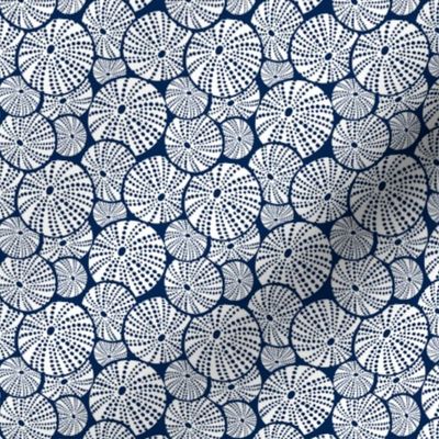 Bed Of Urchins - Nautical Sea Urchins - Navy Blue White Small