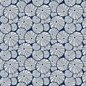 Bed Of Urchins - Nautical Sea Urchins - Navy Blue White Small