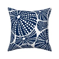 Bed Of Urchins - Nautical Sea Urchins - White Navy Blue Jumbo