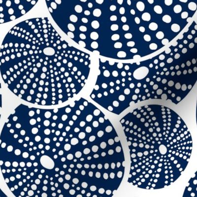 Bed Of Urchins - Nautical Sea Urchins - White Navy Blue Large