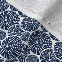 Bed Of Urchins - Nautical Sea Urchins - White Navy Blue Small