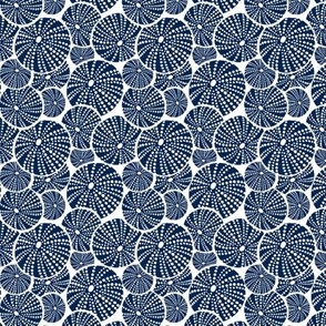 Bed Of Urchins - Nautical Sea Urchins - White Navy Blue Small