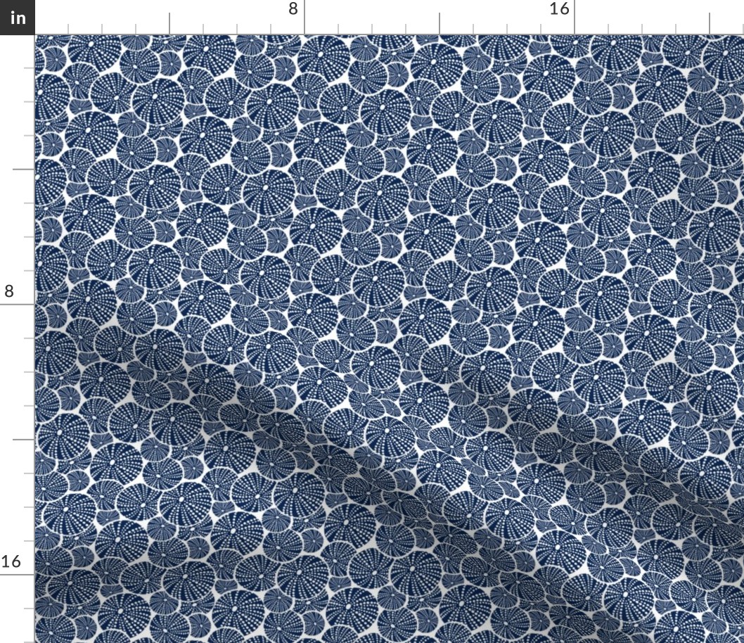 Bed Of Urchins - Nautical Sea Urchins - White Navy Blue Small