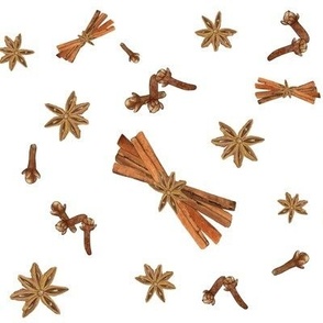 Scattered Cloves, Star Anise & Cinnamon Bundles