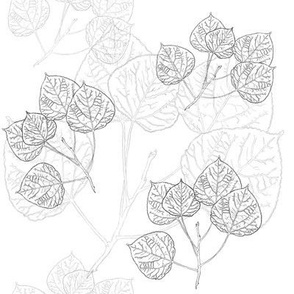 Aspen Branches - Line Art  on White