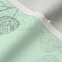 Aspen Leaves - Line Art  on Mint