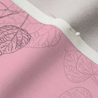 Aspen Leaves - Line Art  on Pink