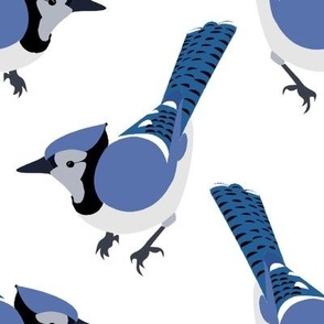 Blue Jays -Large - White