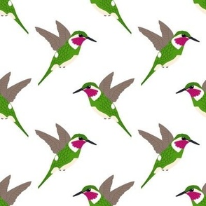 Hummingbird - Large - White