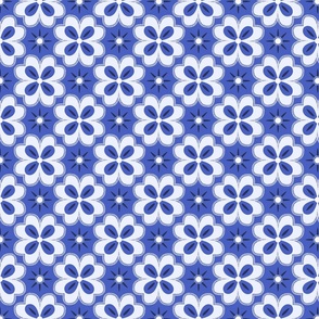 Blue and White Flower with Star Pattern