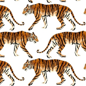 Bengal Tigers on White Background Large Scale