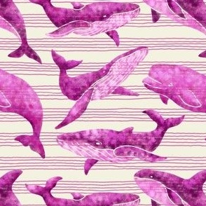 Textured Pink Whales | Light striped background