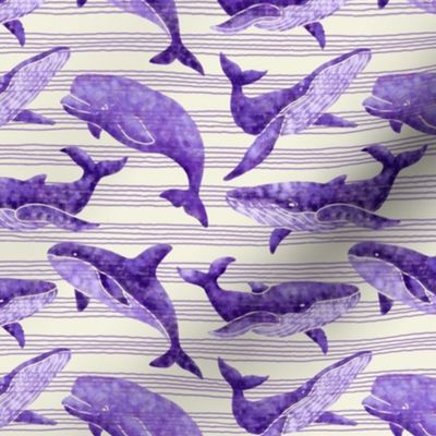 Textured Dark Violet Whales | Light striped background