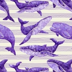 Textured Dark Violet Whales | Light striped background