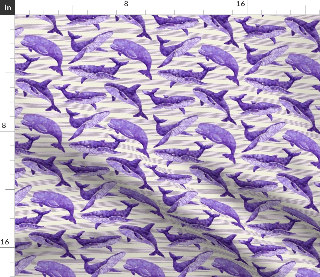 Textured Dark Violet Whales | Light striped background