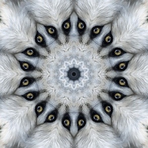 Wolf Eyes Mandala Kaleidoscope Medallion Flower