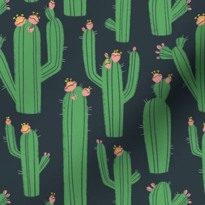 Funky Cacti (Gray, Green, Pink)