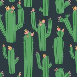 Funky Cacti (Gray, Green, Pink)