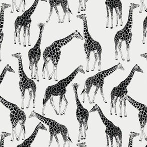 giraffe black and white wallpaper