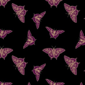 Purple and Yellow Butterflies, Black Background, Small Scale