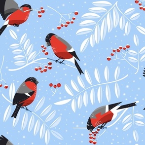 Large apricity bullfinch birds feeding on red berries on sky blue background by art for joy lesja saramakova gajdosikova design