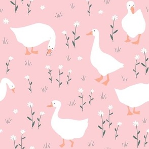 pink_goose_meadow