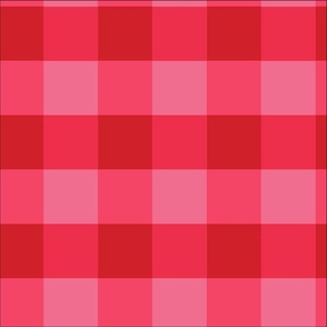 Red and Pink Holiday Checkered Gingham Plaid Buffalo Check