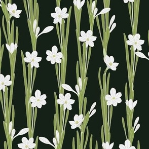 S. Hand drawn daffodil blooming plants | white flowers on  darkest green, small scale