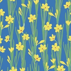 S. Hand drawn daffodil blooming plants | Bright flowers on a calming blue, small scale