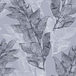 forsythia_leaves_cool_gray