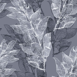 forsythia_leaves_blue-gray