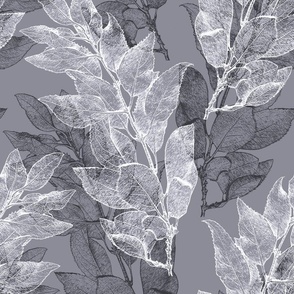 forsythia_leaves_lilac_gray