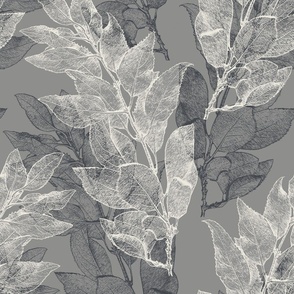 forsythia_leaves_ivory_gray